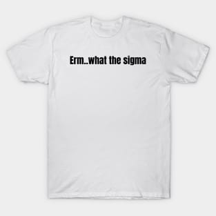 Erm..what the sigma tiktok meme viral funny nerdy design T-Shirt